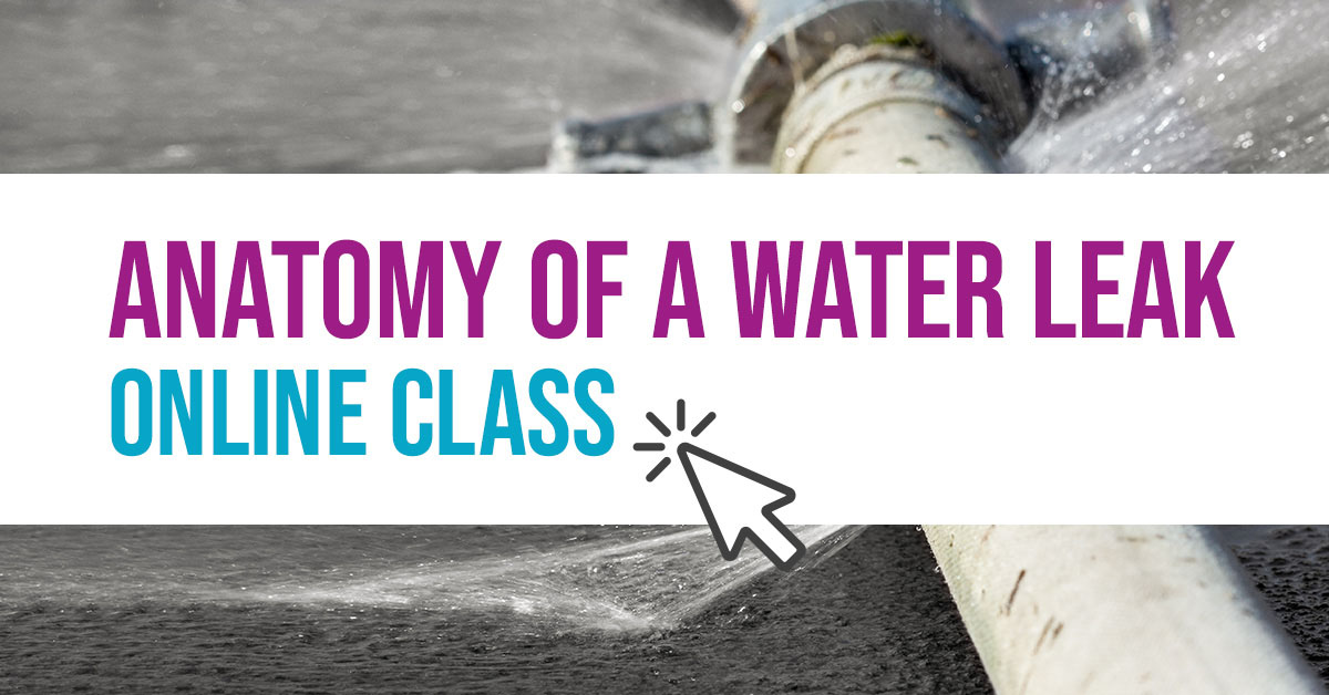Banner for Webinar: Anatomy of a Water Leak