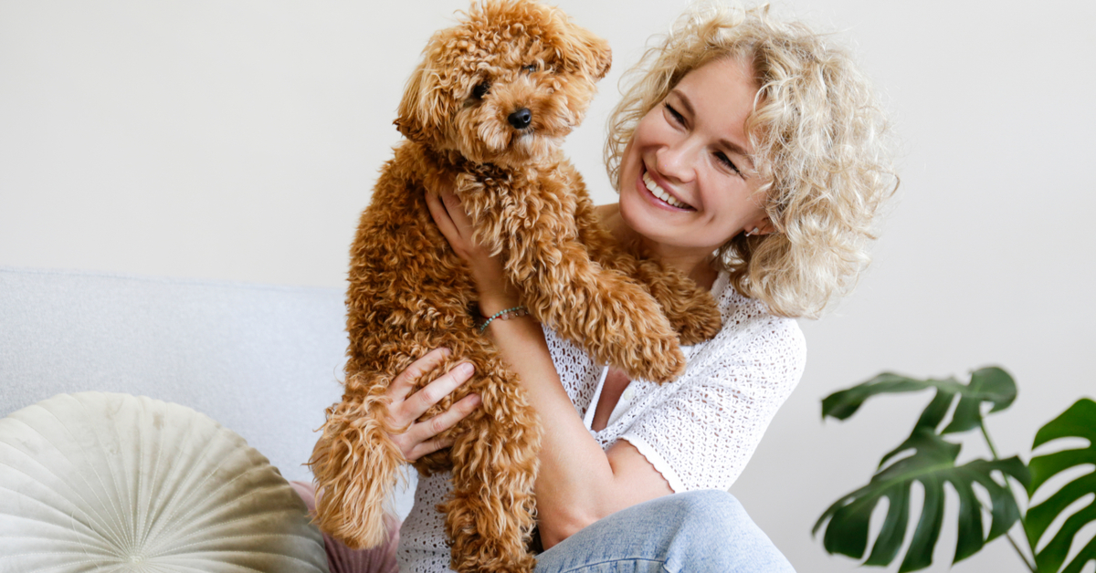 New Laws Regarding Emotional Support Animals Fcap Managers Report Becker