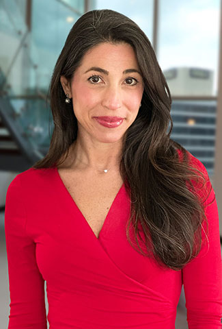 Allison L. Hertz attorney photo