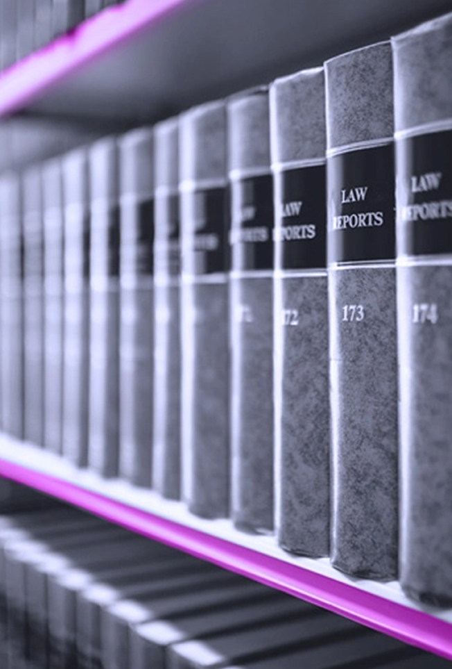 Vanessa N. Kabu-Asante attorney photo