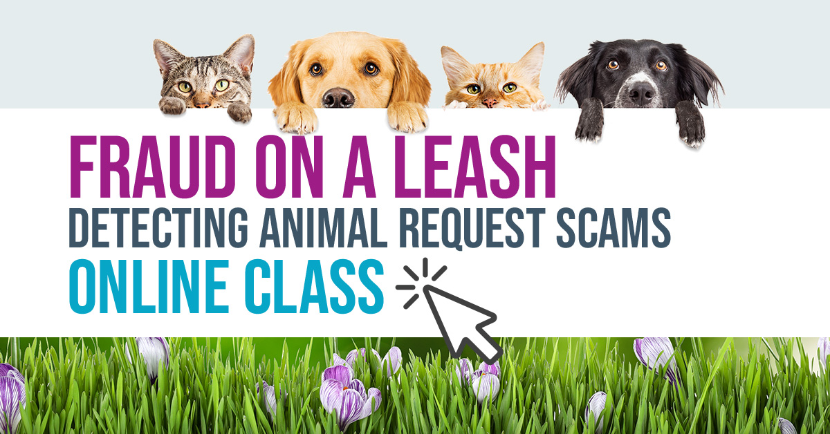 Fraud on a Leash – Detecting Animal Request Scams